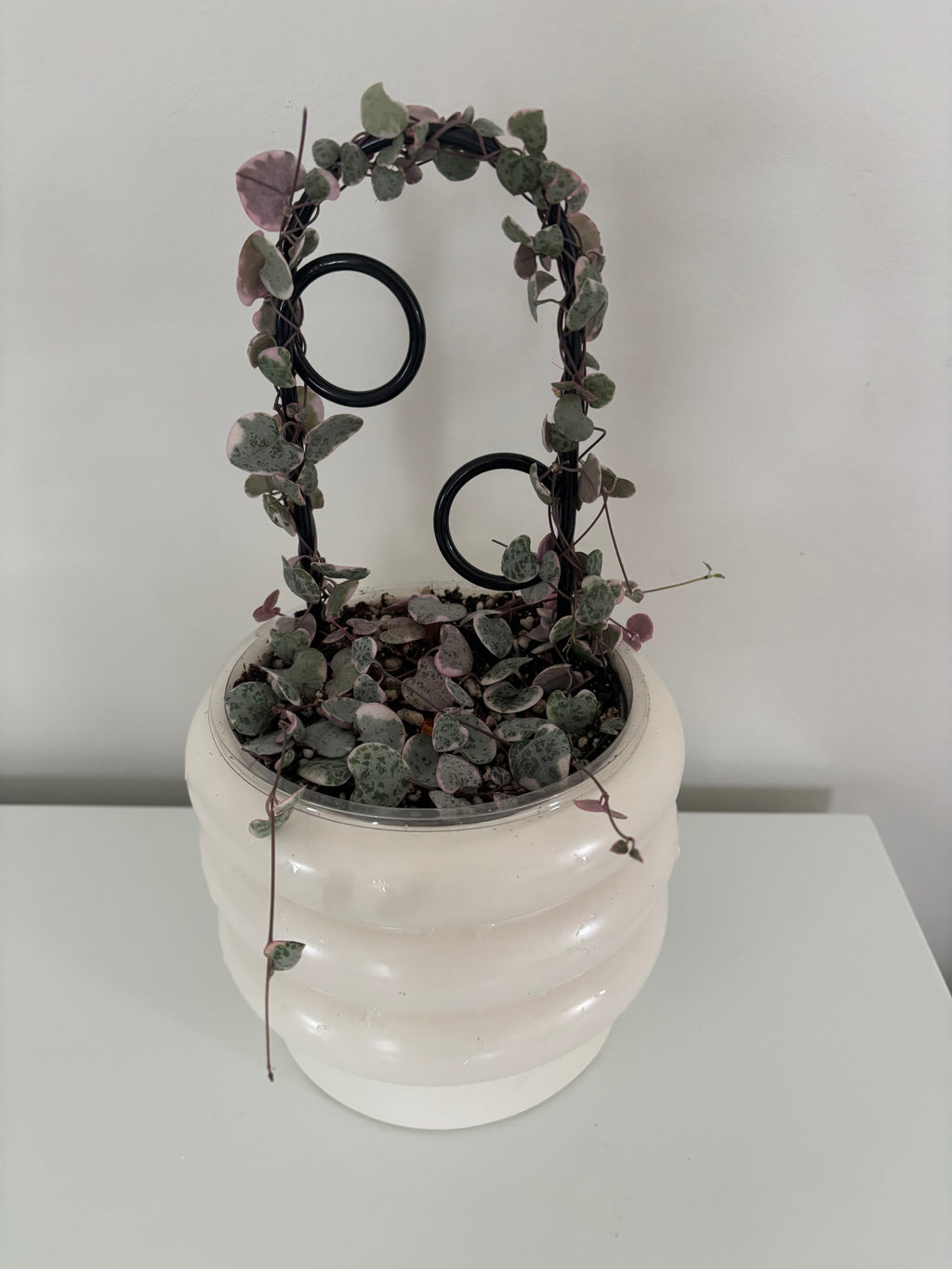 String of Hearts
